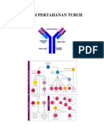 Sistem Pertahanan Tubuh PDF