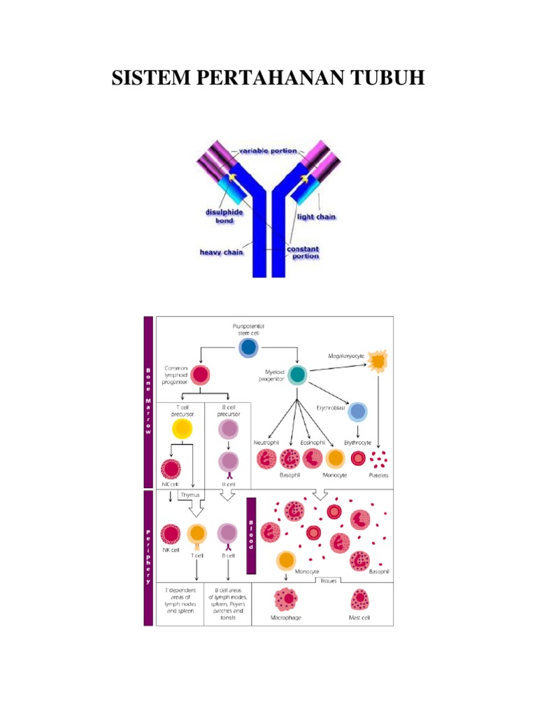 SISTEM_PERTAHANAN_TUBUH.pdf