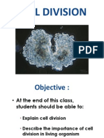 Cell Division