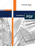 Economic Report 2013