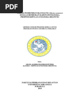 Download Teknik Pembenihan Ikan Baung Mystus nemurus di BBI Kabupaten Bangka Kep Bangka Belitung by aldhian SN199231471 doc pdf