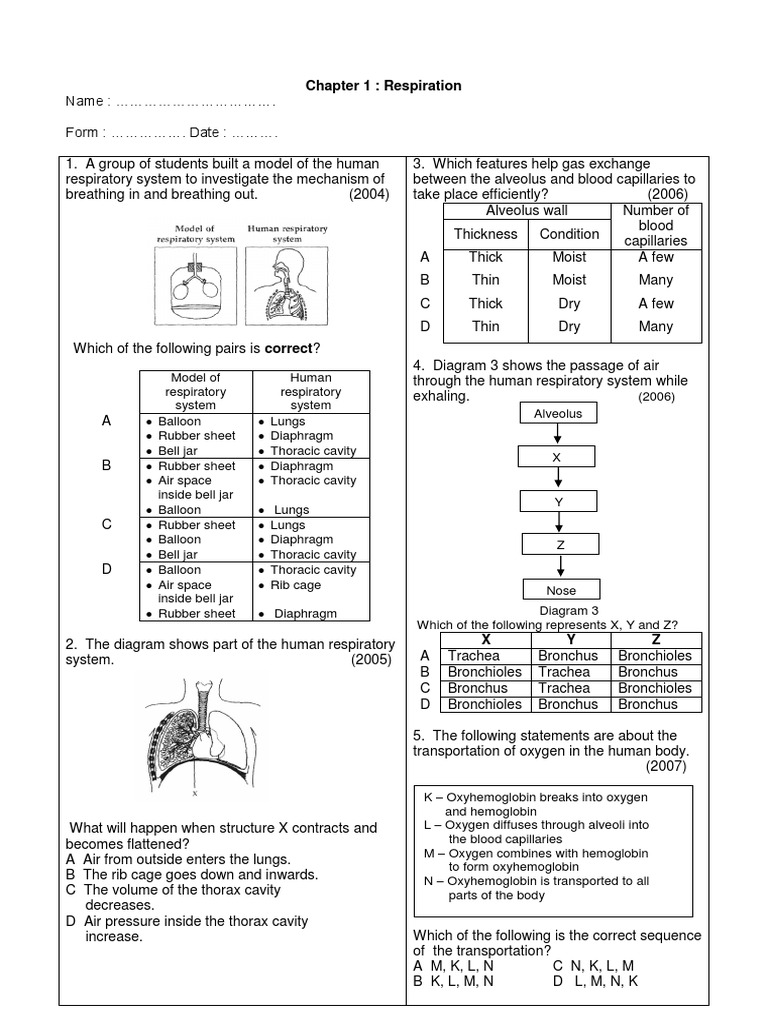 Science Form 3 Chapter 1 3 Pdf Respiratory System Blood