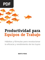 Productividad Equipos