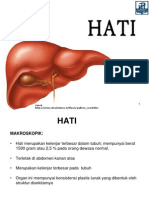 Liver System
