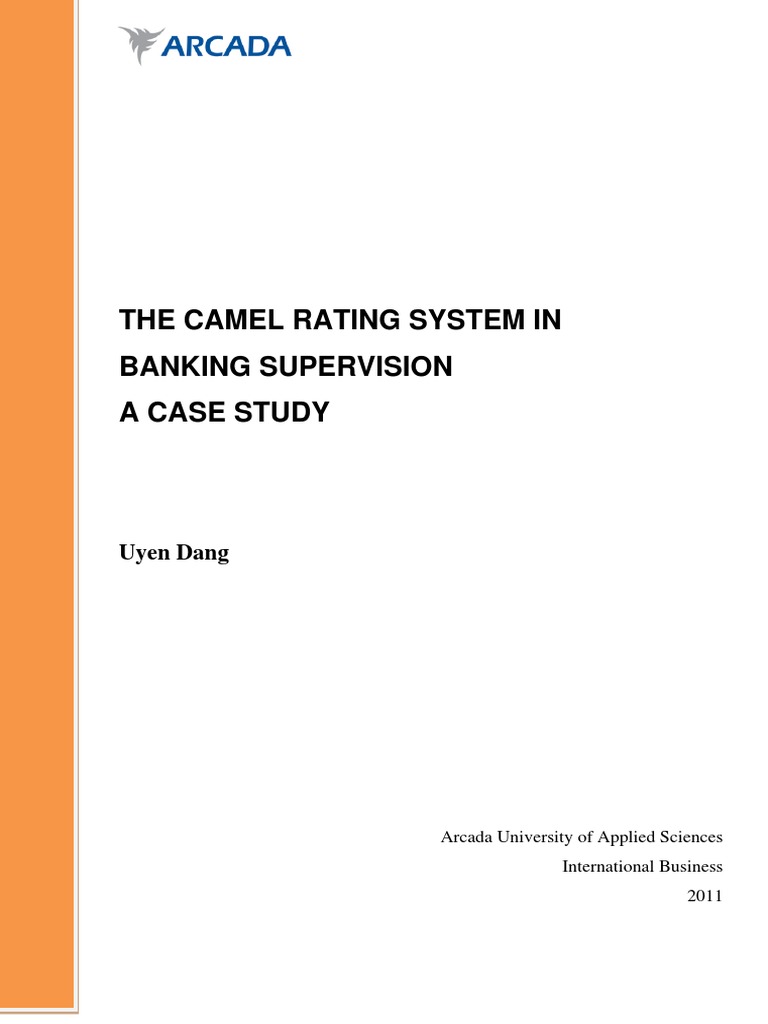 Camel Rating System | Download Free PDF | Capital Requirement | Banks