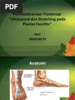 Download Penatalaksanaan Fisioterapi plantar fasciitispptx by Nesi Aureole SN199270576 doc pdf