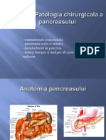 Curs 11 Pancreas