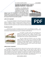 Artc3adculo Flexiones de Brazos PDF