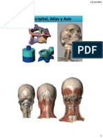 Occipital, Atlas y Axis