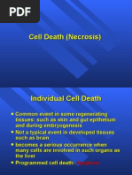 Download Necrosis by Maryam Zanjir SN19932951 doc pdf