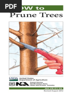 As 4373-2007 Pruning of Amenity Trees | PDF | Pruning | Plants