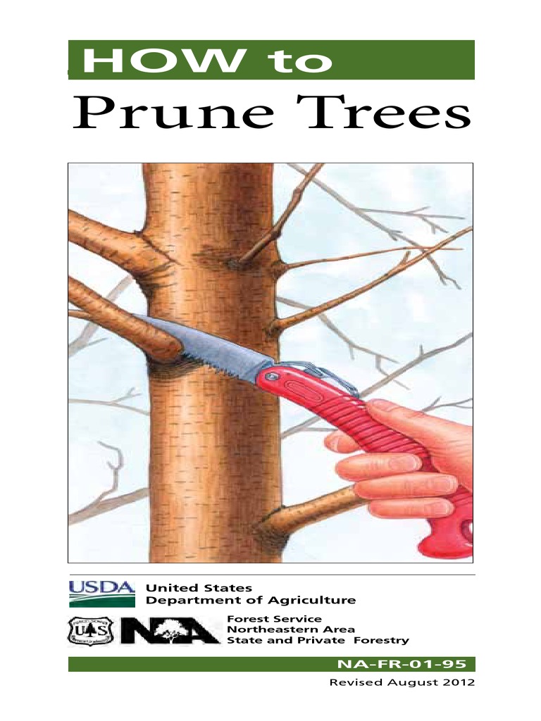 How To Prune Trees | Download Free PDF | Pruning | Scissors