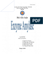 Tiểu luận Tổng quan về Enzyme Amylase - Tài liệu, ebook, giáo trình