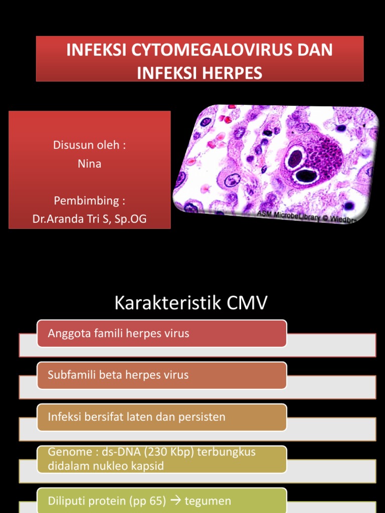 Infeksi Cytomegalovirus pada Kehamilan | PDF