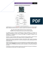 Tratatamiento Anaerobio Por Metanogénesis