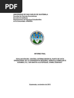 Informe Final