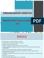 Organizador Gráfico