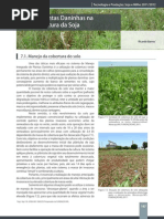 07 - Plantas Daninhas Na Cultura Da Soja_544858351