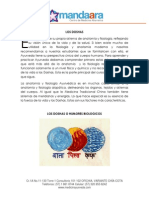 Los tres Doshas del sistema Ayurvédico: Vata, Pitta y Kapha