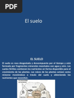 Suelos