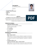 Curriculum Vitae - Paúl Sánchez