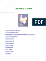 Pollo de Engorde