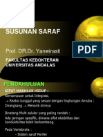 1-susunan-saraf