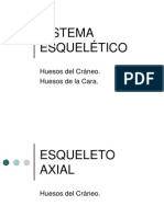 03esqueletoaxial2-111005151407-phpapp02