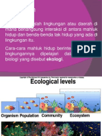 Materi Ekologi Ipa SD Kamis