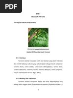 Download BAB 2 Ceremai by nurizalcure SN199519174 doc pdf
