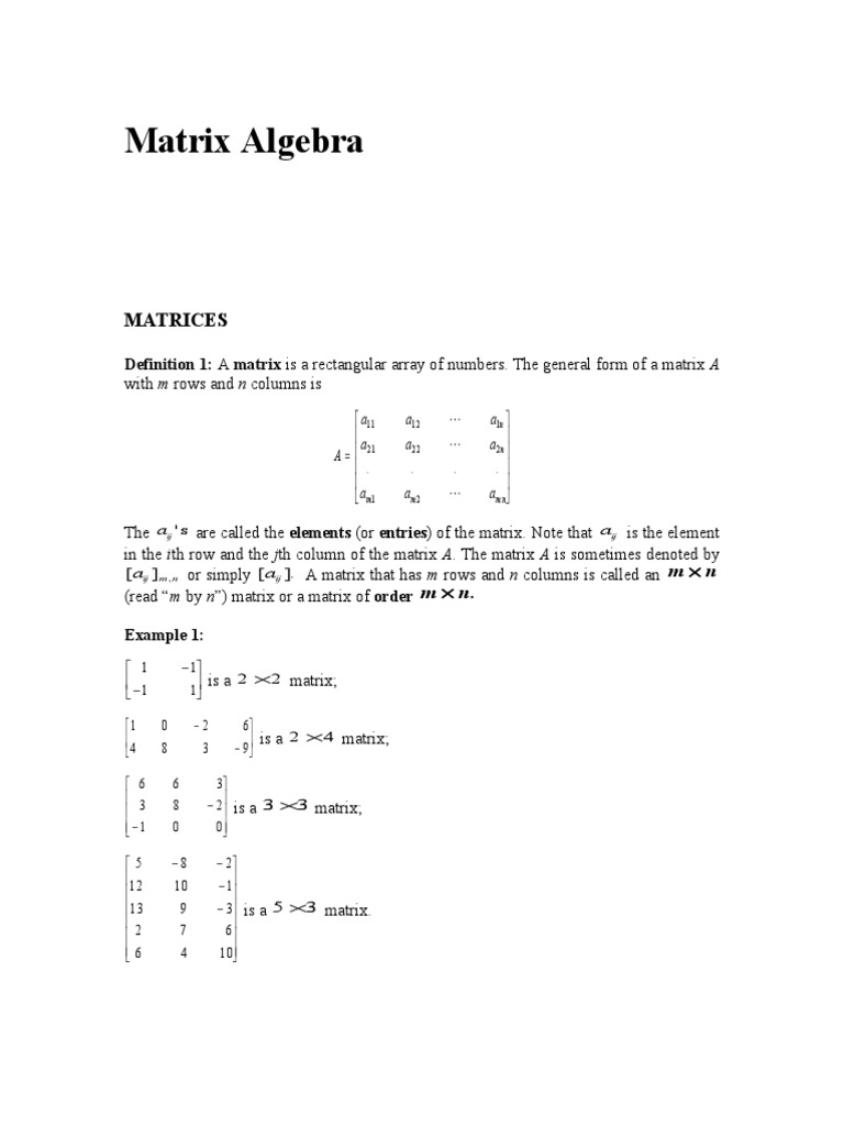 Matrix Algebra PDF Determinant Matrix (Mathematics)