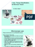 Week 1 Microscope, Tissues