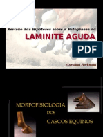 Laminite Aguda Equina