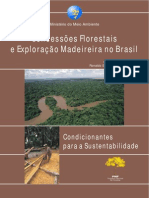 Concessões Florestais e Exploração Madeireira No Brasil