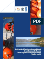 Fethiye-Göcek Özel Çevre Koruma Böolgesi Göcek-Dalaman Koylarında Tekne Bağlama Sisteminin İşletilmesi Fizibilite Analizi