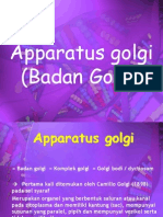 Apparatus Golgi