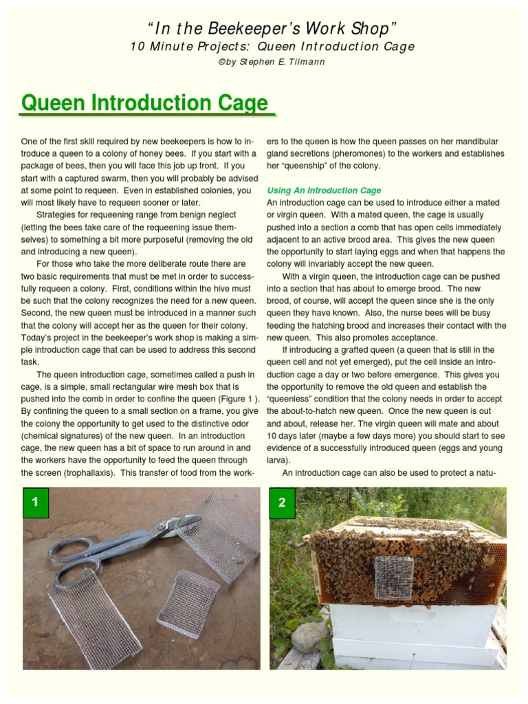 Queen Introduction Cage 20120715 Beekeeping Honey Bee