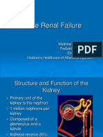 Acute Renal Failure