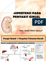 Hipertensi Pada Penyakit Ginjal