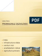 Promisiunile Dezvoltarii