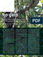 De Olho No Gato | Revista Pesquisa FAPESP 215 | Jan 2014