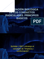 Principiospbm 090806222047 Phpapp02