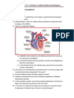 Ejercicios Tema 7 Circulatorio