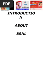 bba 3rd sem project report