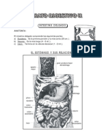 10. Aparato Digestivo II