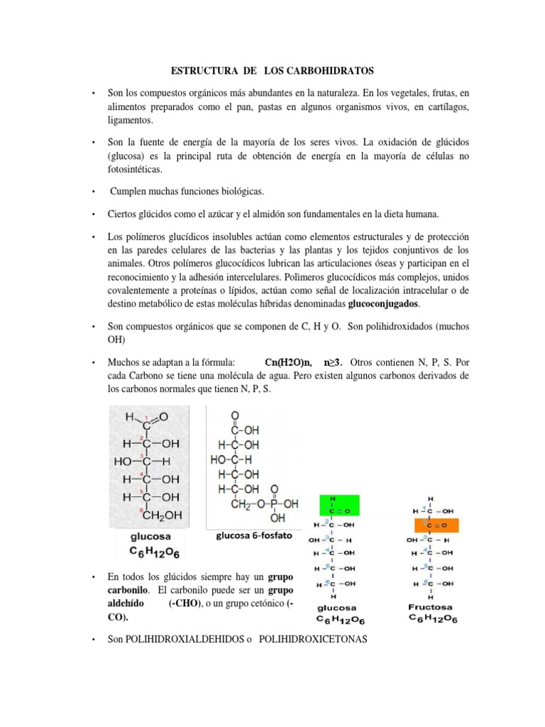 Estructura de Los Carbohidratos | PDF | Carbohidratos | Polisacárido
