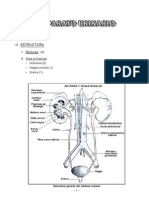 Aparato Urinario PDF