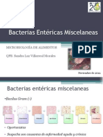 Bacterias Entéricas Miscelaneas