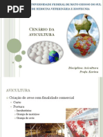 Cenário da avicultura - Aula 1
