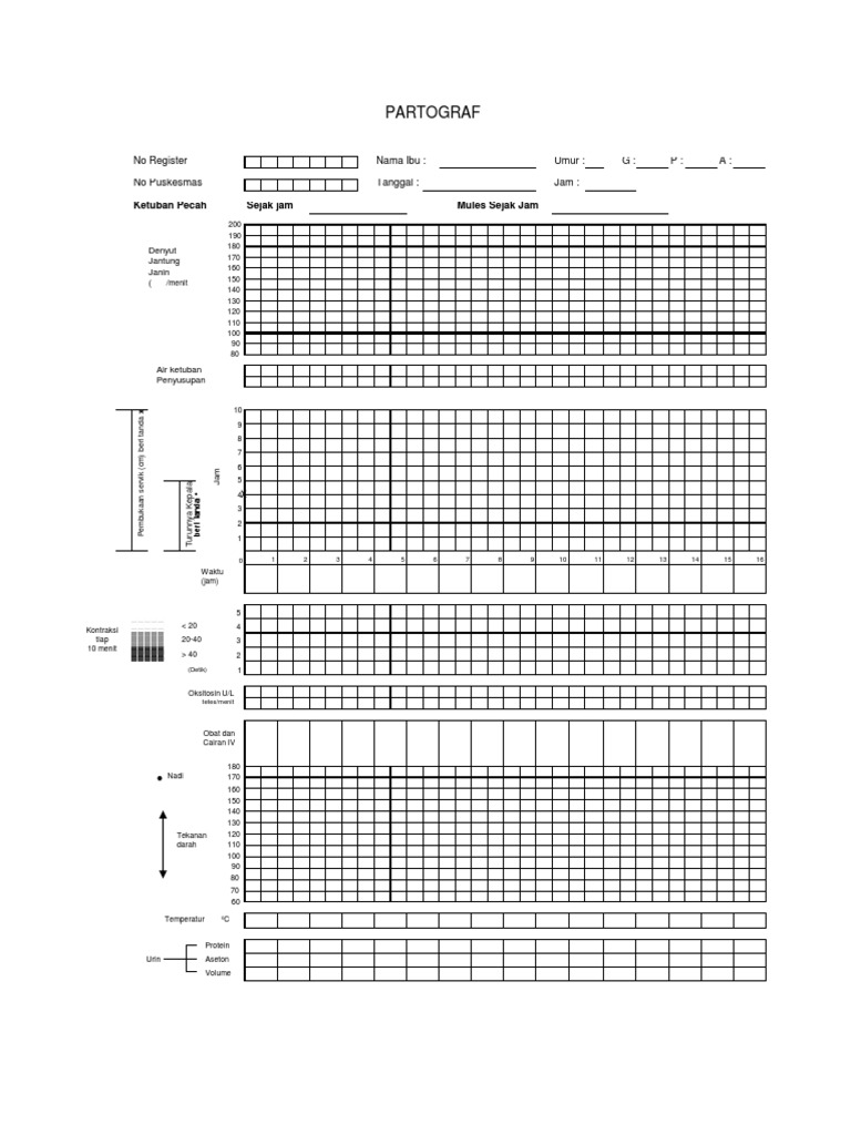 Format dan Download Partograf Terbaru | PDF | Kesehatan Holistik | Gaya ...